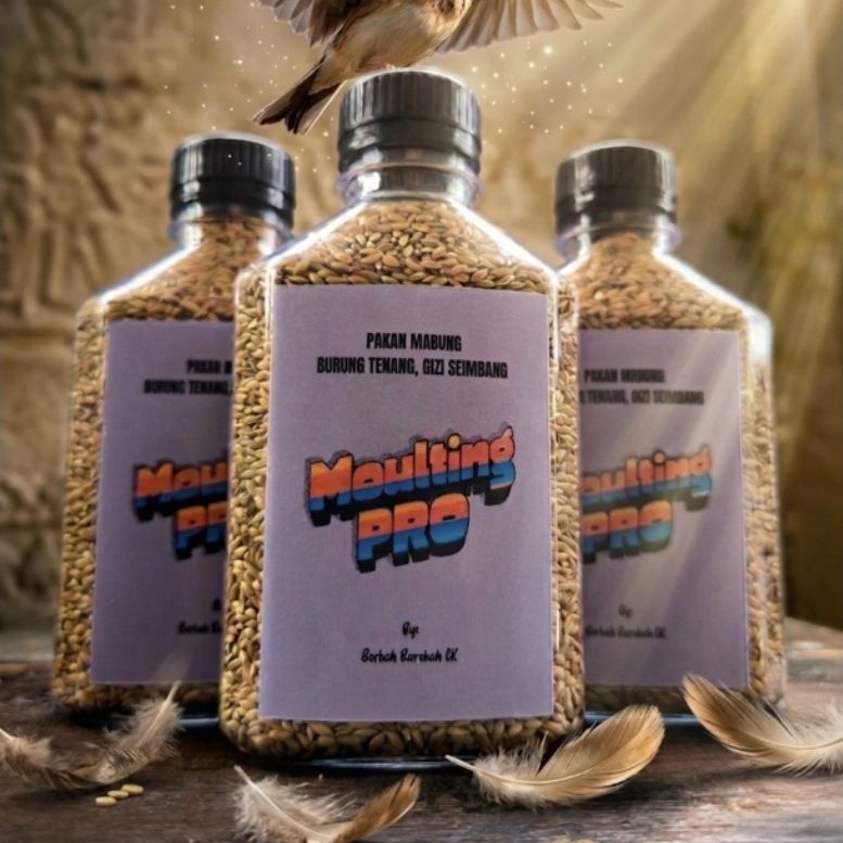 Moulting Pro Pakan Mabung Branjangan, Java, Parva, Sonca, Lark Dll