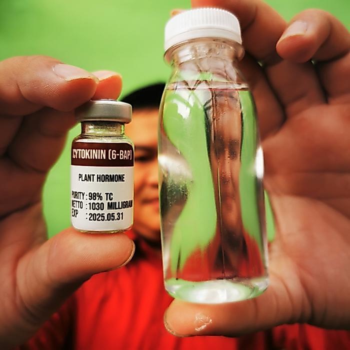 BISA COD Hormon Cytokinin Sitokinin 6-BAP Murni Serbuk Powder Botol Vial Steril