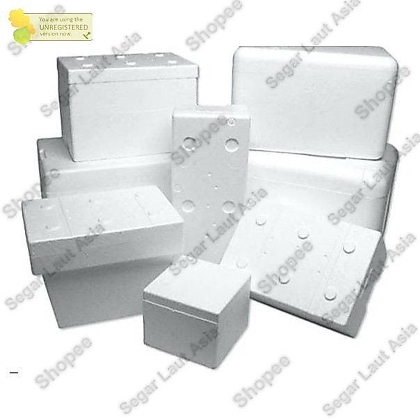 Box Ikan Styrofoam