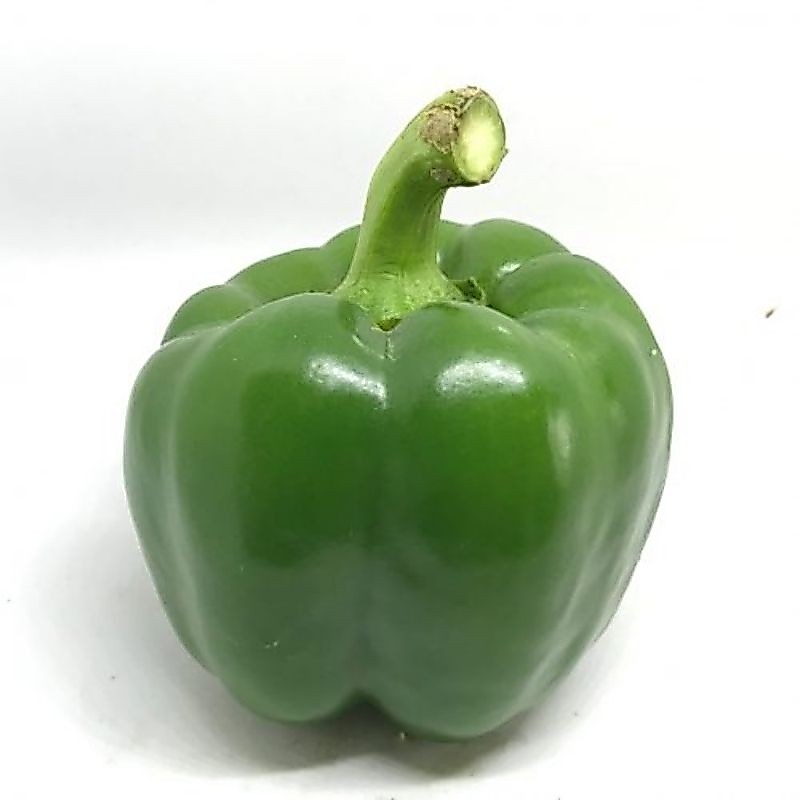 paprika hijau 1kg
