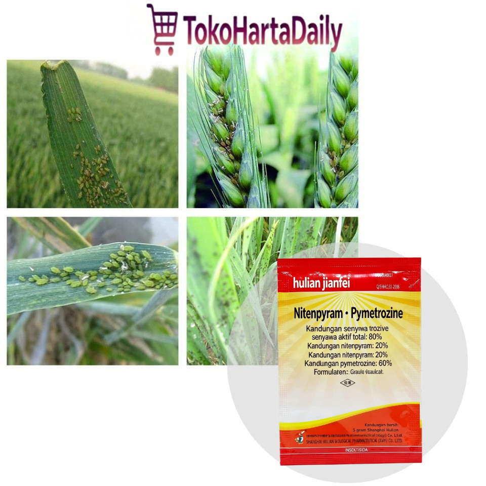 Insektisida Wereng Kutu Daun 5gr 80% Acetamiprid Pimetrozin Import Untuk Tanaman Padi