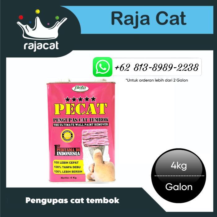 PECAT 4 KG / PERONTOK CAT TEMBOK