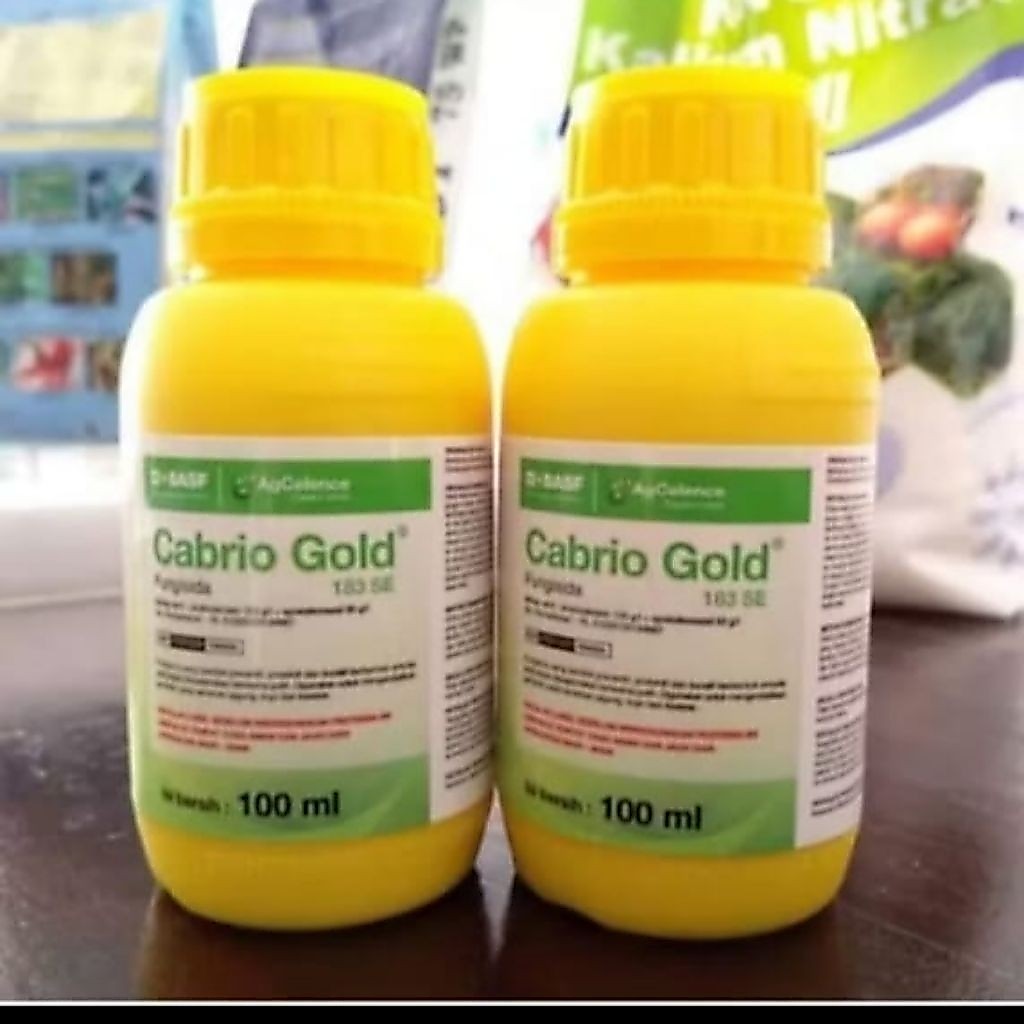 CABRIO GOLD 183 SE 100 ML