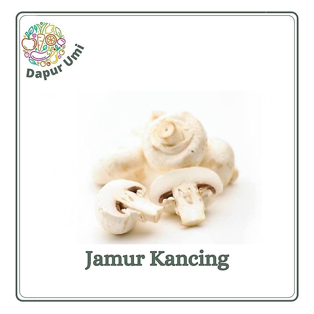 JAMUR KANCING BULAT - JAMUR SEGAR PURWAKARTA