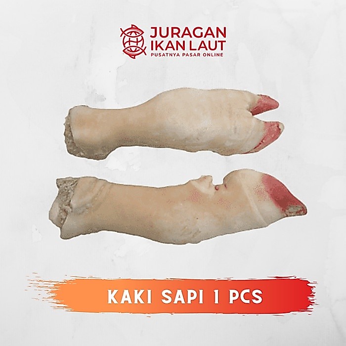 Kaki Sapi Utuh Segar Berkualitas - 1 Pcs