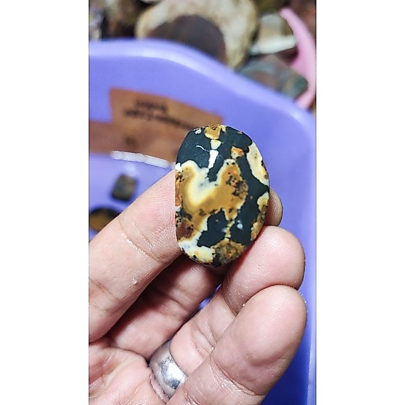 Pancawarna Edong