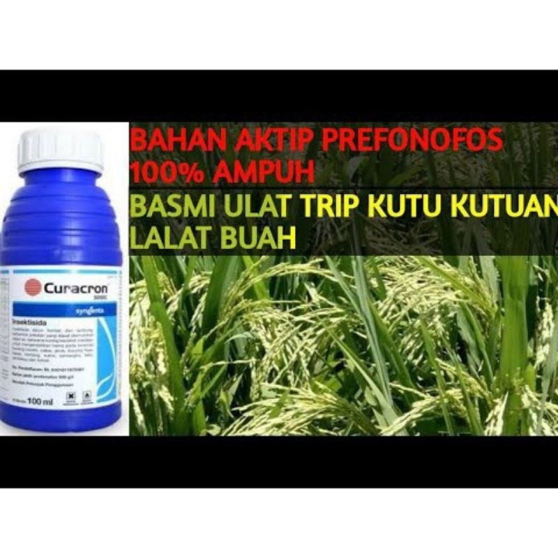 [promo] Curacron 500Eac Insektisida 100ml/ Curacron Insektisida Pembasmi Hama