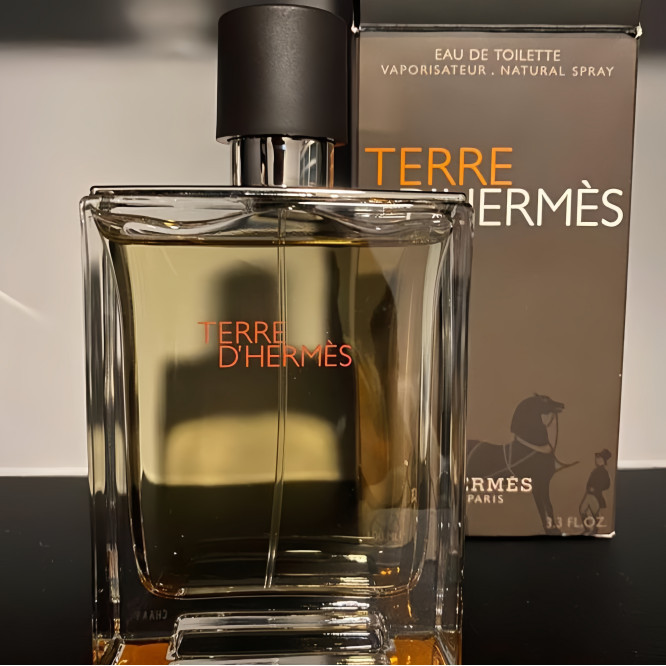 Terre D'Hermes Parfum Hermes Original 100ml EDT