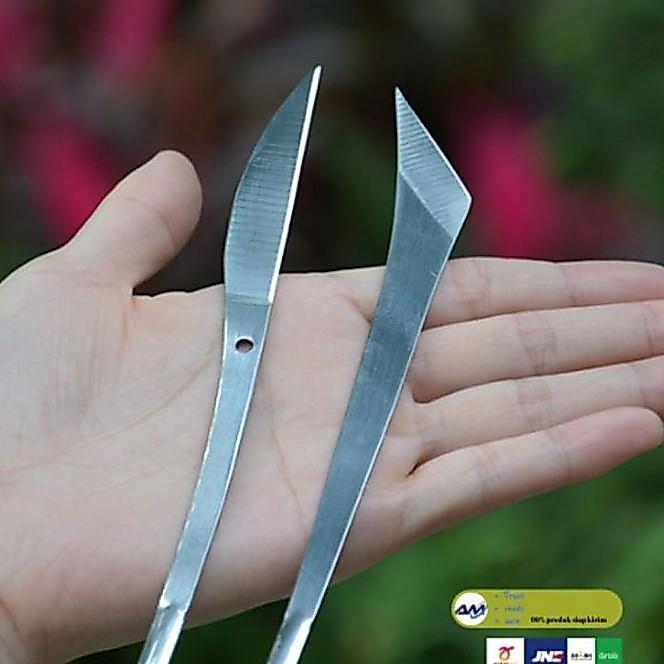Pisau Sayat Ukir Bonsai Kelapa Stainless Steel Carving Cnife