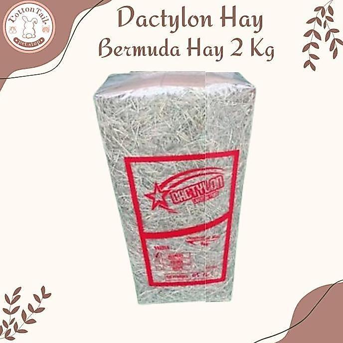 kafegonzel - dactylon hay / rumput kering bermuda pakan kelinci & cavy 2kg