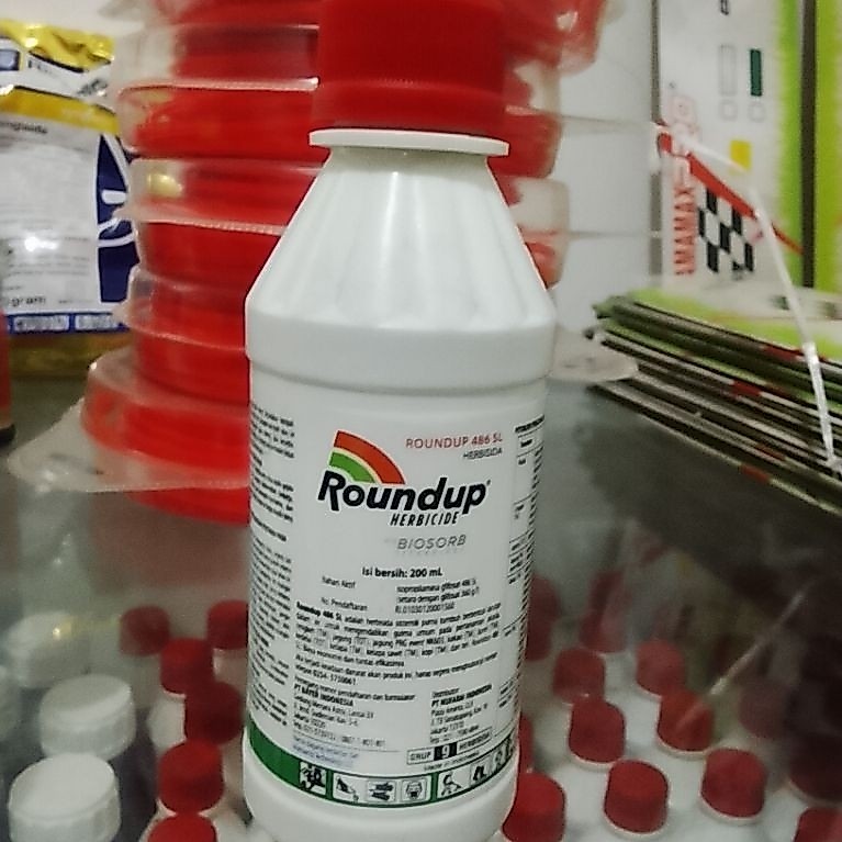 roundap obat rumput liar