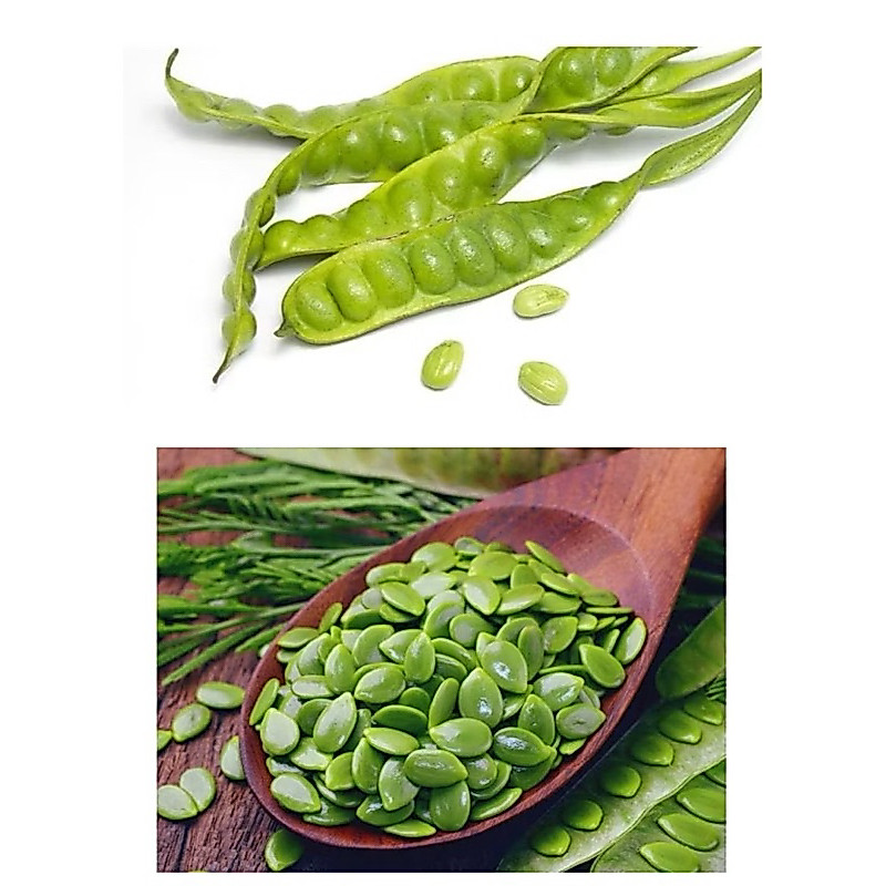 Petai Pete Fresh | Pete Cina Papapangan