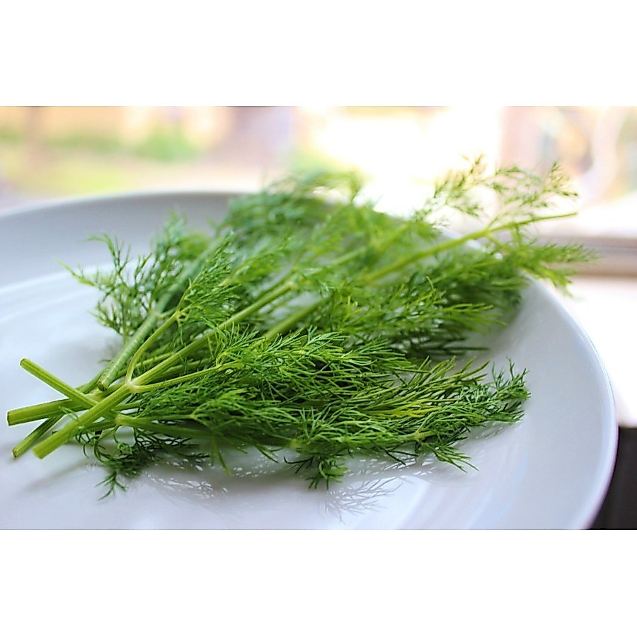 Daun Dill Fresh Adas Goceng 250gr Daun Adas Manis 250 gr