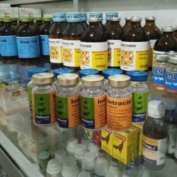 Intracin 10 ml obat pemacu kontraksi hewan melahirkan dan meningkatkan serta melancarkan ASI indukan