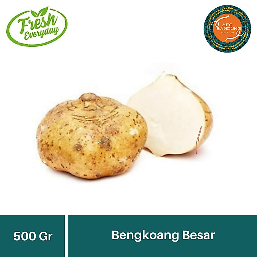 Sayur Bengkoang Segar Besar Fresh 500gr