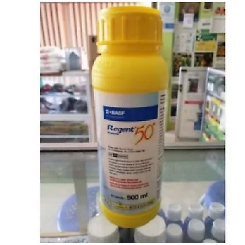 Regent 500ml