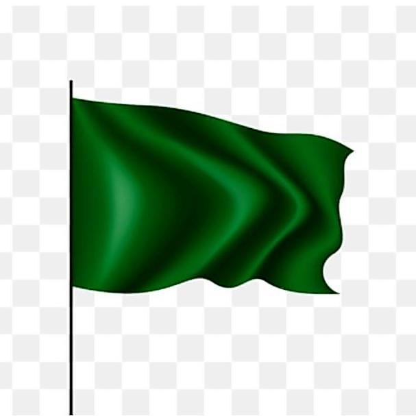 Bendera hijau, bendera polos,bendera kain,bendera hijau polos