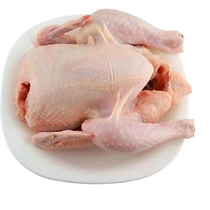 Beff- Ayam Karkas Broiler Ayam Potong Utuh 0.5-0.6 Kg