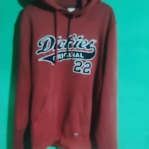 hodie dickies 22 second