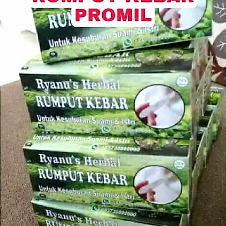 TEH PROMIL RUMPUT KEBAR | PROGRAM HAMIL SUAMI ISTRI