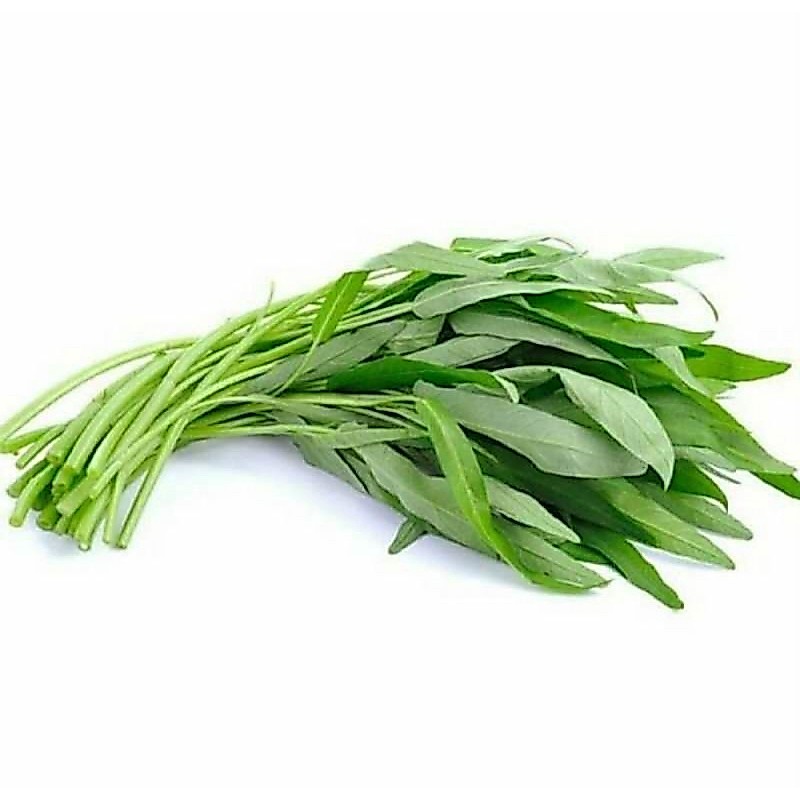kangkung baby organik | pack
