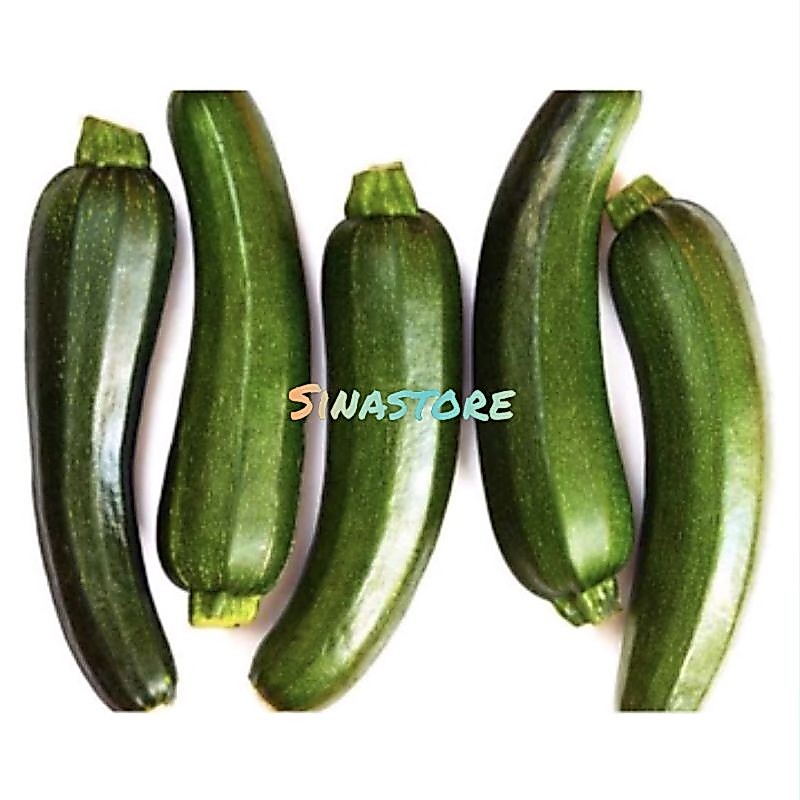 Zucchini/timun sukini/1kg