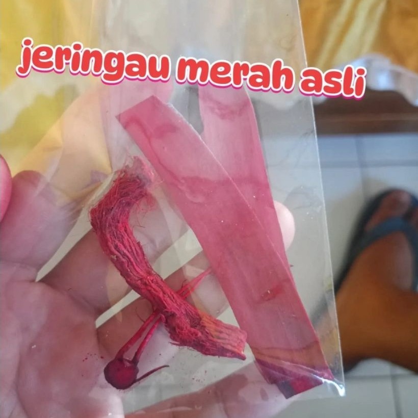 jeringau merah Kalimantan asli ( wangi jeringau)