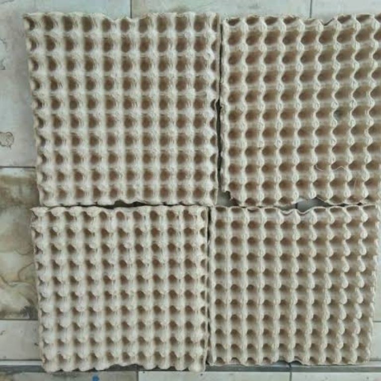 Egg Tray Karton Bekas - Praktis, Ekonomis, 10 Lembar