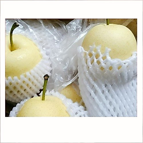 Buah Pir / Buah Pear Segar | Buah Segar 1Kg | Pasar Induk Pekanbaru #Harga_Grosir