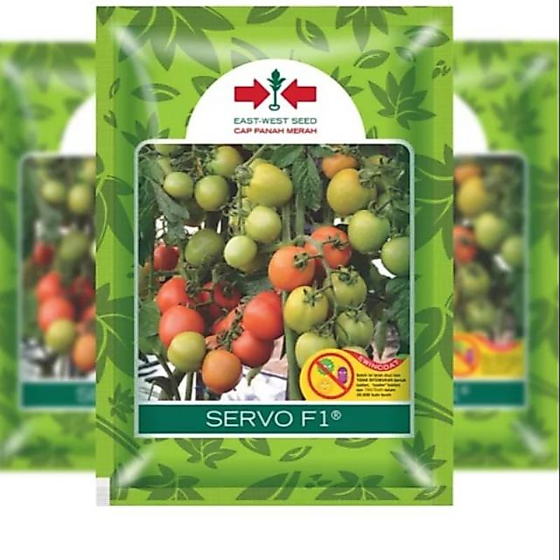 {20 Biji} Benih Tomat Servo F1 Repack Original
