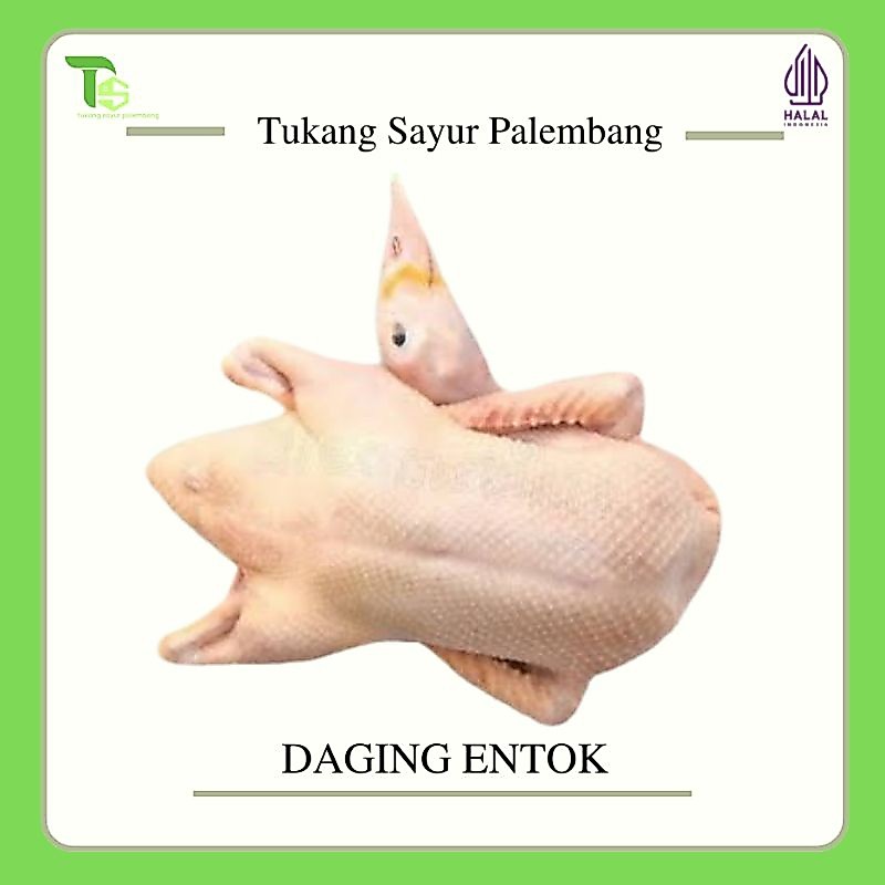 BEBEK, ENTOK PEDAGING, ENTOK DAGING, SERATI, MENTOK (INSTAN)