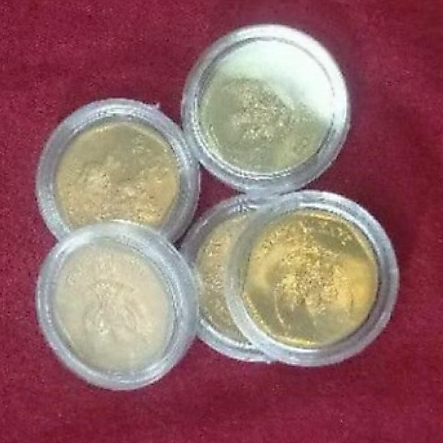 Uang Koin 100 KARAPAN SAPI 1996+ capsule coin kinclong original