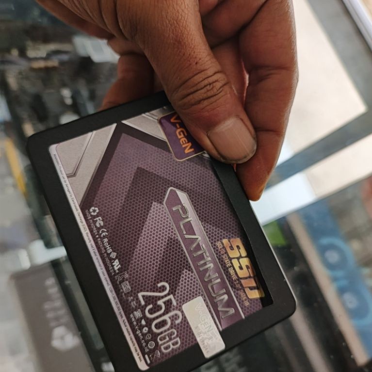 SSD Vgen Platinum 256 GB Pembelian 2024