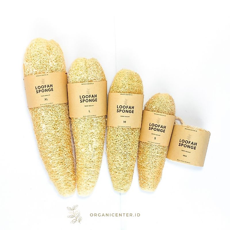 Loofah Sponge XL / Spons Loofah Natural Alami / Spons Sabut Cuci Piring / Oyong Kering Zero Waste