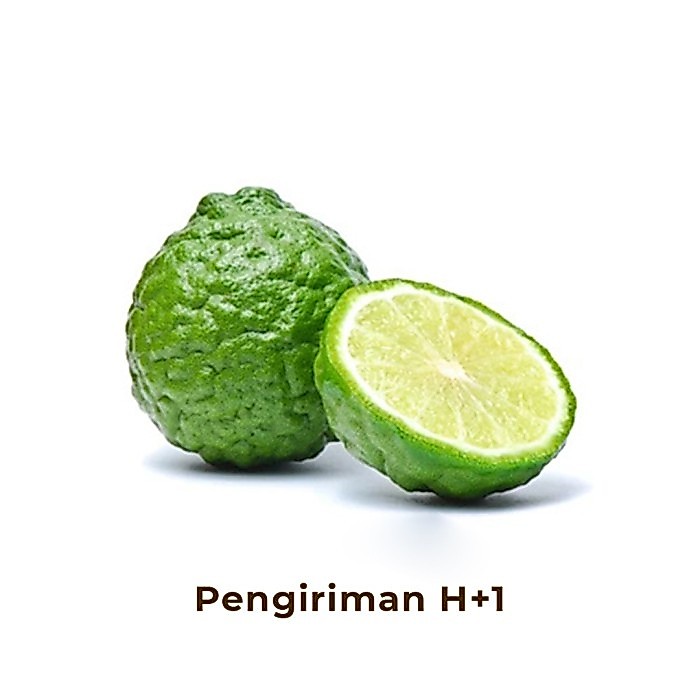 Jeruk Limau Segar