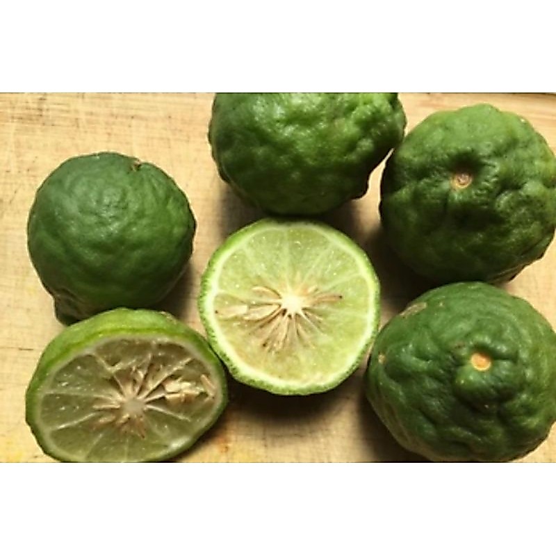 Buah Jeruk Purut 1Kg