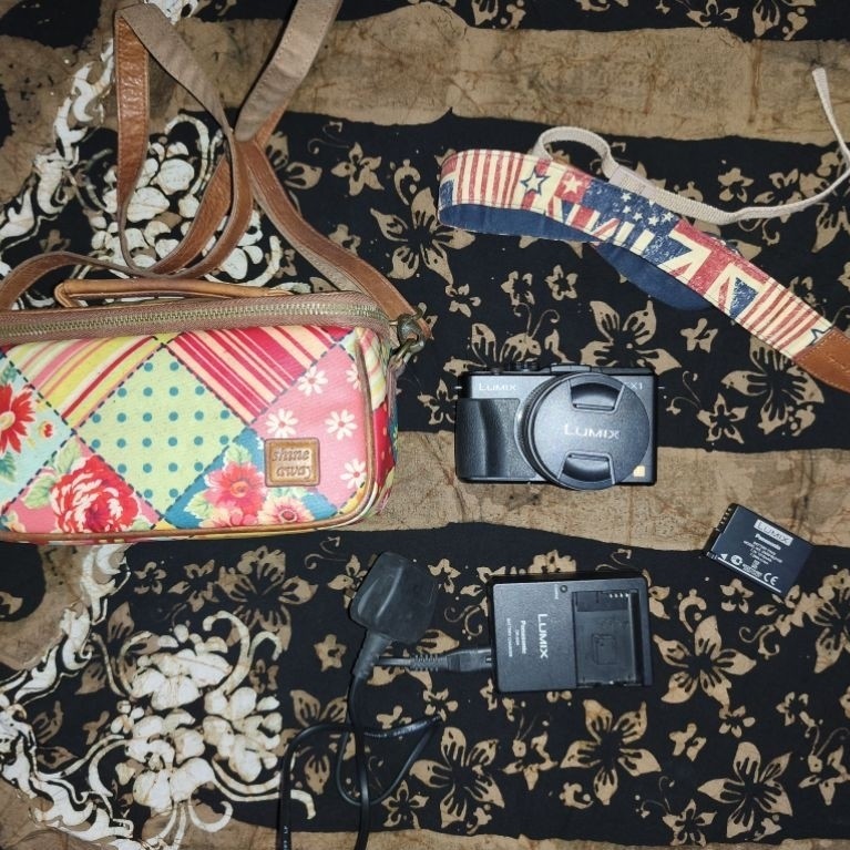 mirrorless lumix GX1
