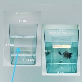 Soliter akrilik aquarium toples akrilik Viralll juragan toples 2 Liter JURAGAN TOPLES tidak ada