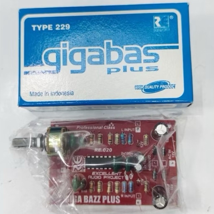 RANIC KIT GIGABASS PLUS TYPE(229)