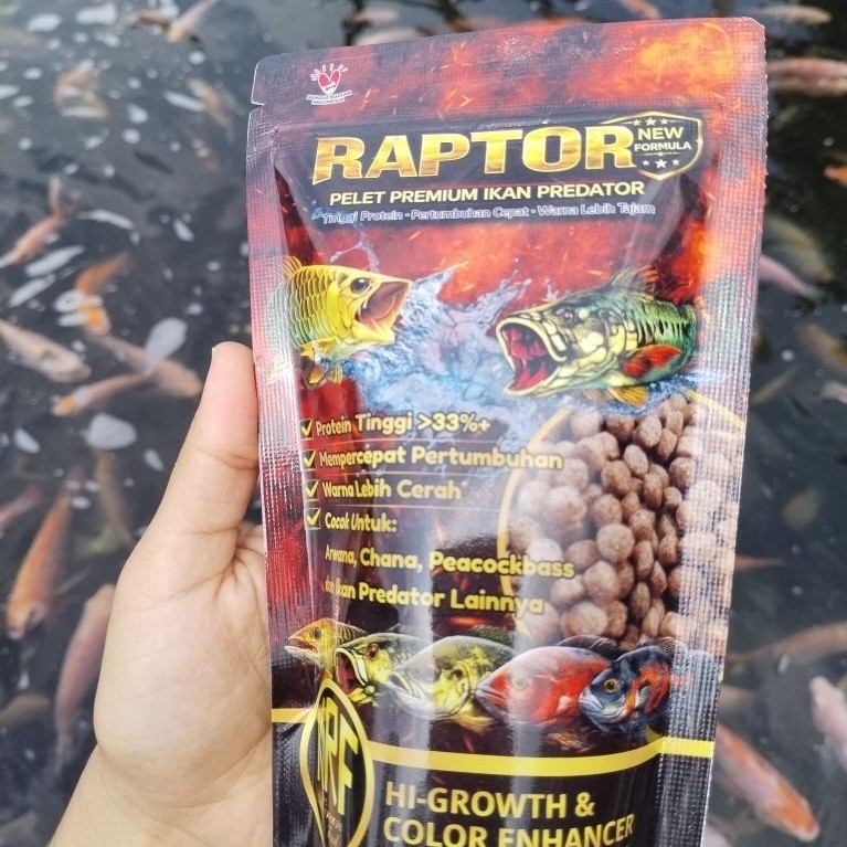 RAPTOR PELET HUSUS IKAN PREDATOR, CHANA, OSKAR, ARWANA KEMASAN 150 GRAM