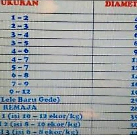 Promo Murah bak sortir ikan lele / ember sortiran lele / sortir lele / aksesoris / hewan / ikan / ba