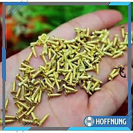 Sekrup Gold 2 x 5 mm Engsel Mini 2x5mm Baut Kecil Emas M2x5mm 1 Set Isi 4 Biji