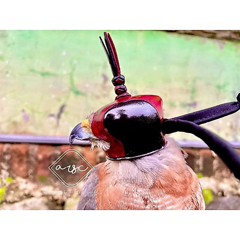 Falconry Dutch hood / kerudung elang gaya belanda