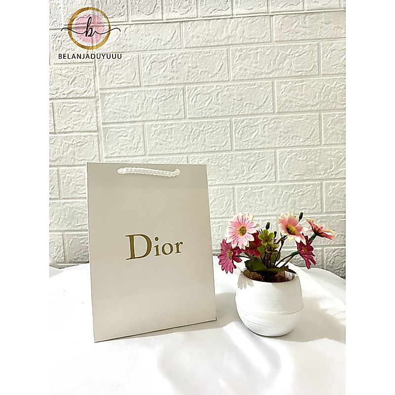 Paper Bag Dior Size Small Tempat Kotak Hadiah Parfum ( Ready Stock Jakarta )