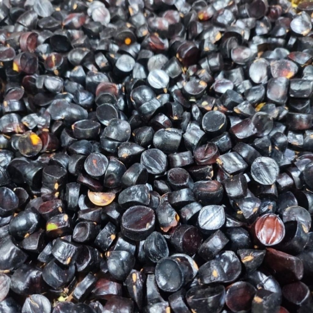 jaling jolang jaling kabau habo asli Lampung 50 gram buah langka
