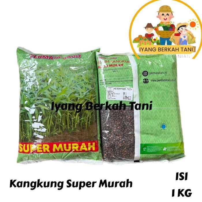 Benih Kangkung Super Murah Kemasan 1 KG - Bibit Kangkung 1 KG