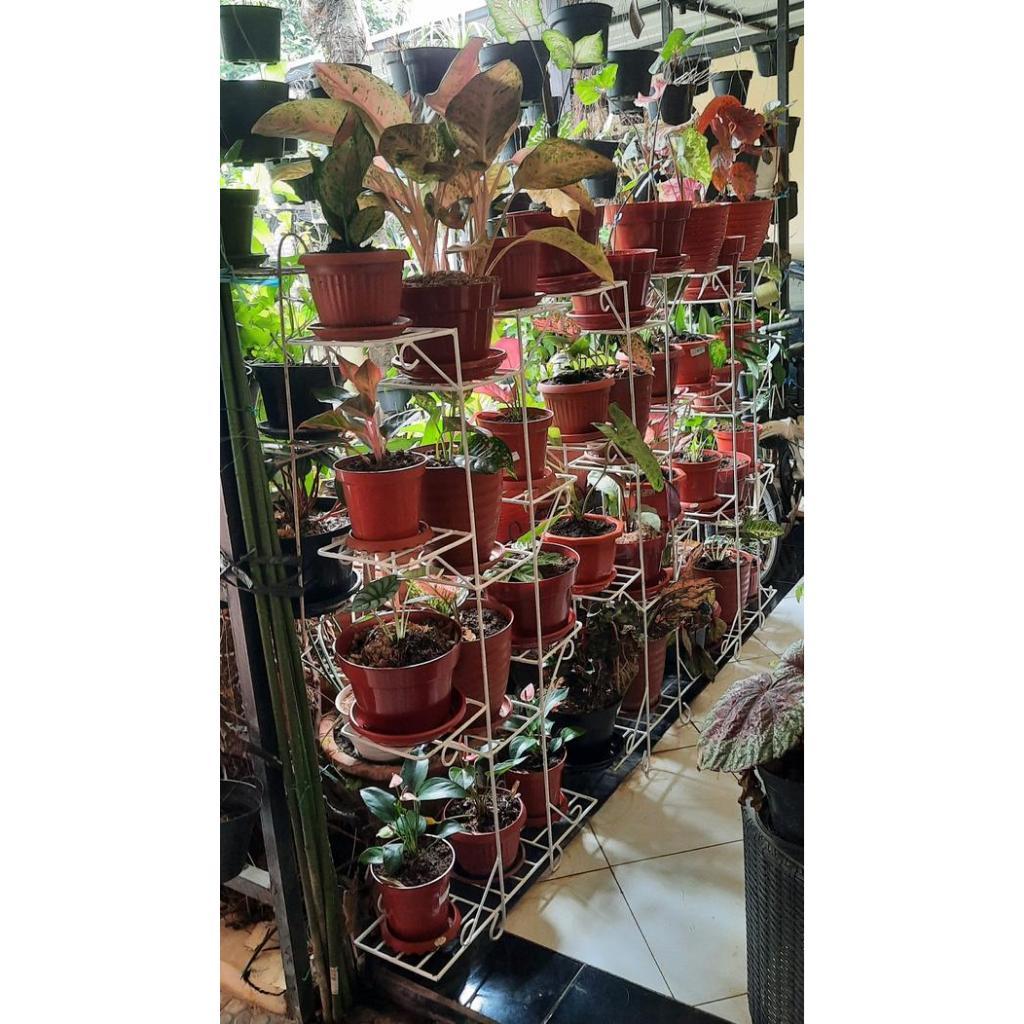 NEW RAK BUNGA 12 SUSUN / RAK POT BUNGA BESI 8 MM / RAK BUNGA MINIMALIS / STANDING POT ISI 12 POT / R
