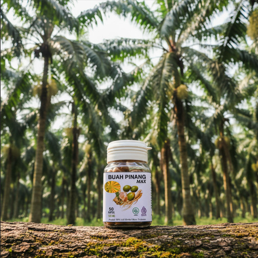 BUKTIKAN SEKARANG Kapsul Buah Pinang Muda MAX Isi 50 Original Herbal