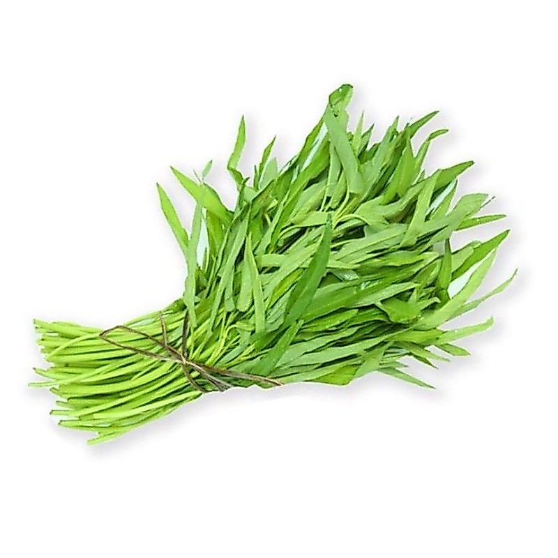Kangkung organik segar