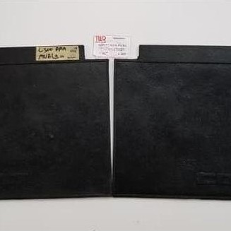 Karpet Roda Depan / Karpet Lumpur / Mud Guard Set L300 / L 300 Depan